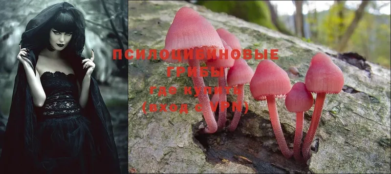 Псилоцибиновые грибы MAGIC MUSHROOMS  Кинель 